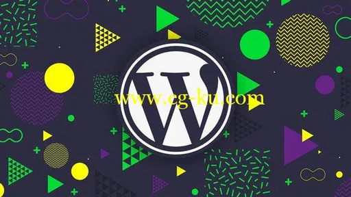 The Complete Guide To Building Premium WordPress Themes的图片1