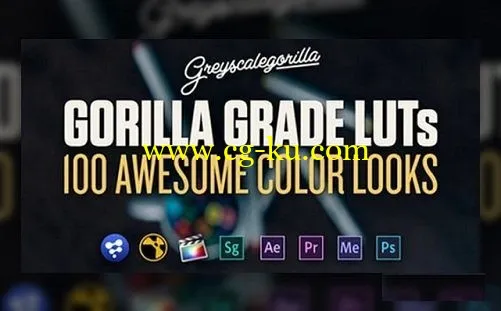 Greyscale Gorilla – Gorillla Grade LUTs的图片1