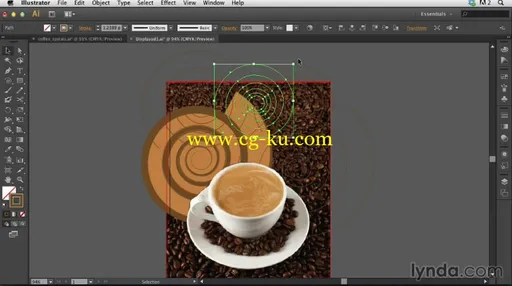 Photoshop for Designers: Working with Illustrator的图片3