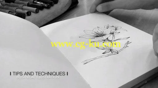 Botanical Illustration: Tips and techniques的图片1