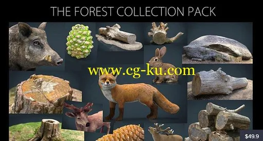 Cubebrush – The Forest Collection Pack的图片1