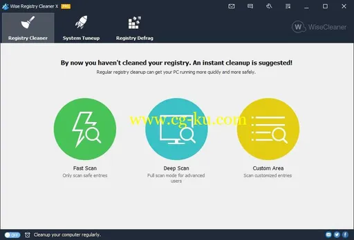 Wise Registry Cleaner Pro 10.1.1.667 Multilingual的图片1