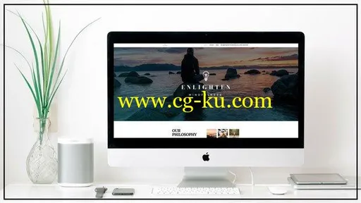 Build a Professional, Responsive Business WP Website: FAST!的图片1
