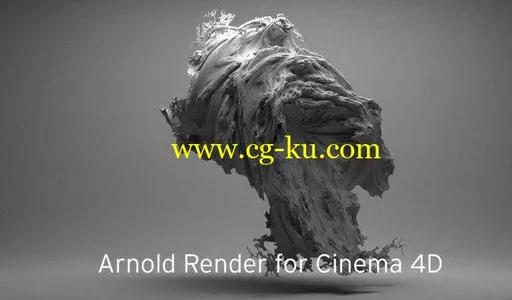 Solid Angle Cinema4D To Arnold 2.4.3 for Cinema4D的图片1