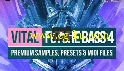 Production Master Vital Future Bass 4 WAV MiDi XFER RECORDS SERUM-DISCOVER的图片2