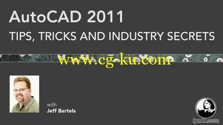 AutoCAD: Tips, Tricks, and Industry Secrets ACAD中的技巧，诀窍和行业秘密的图片1