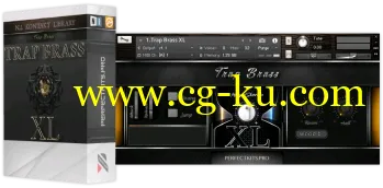 Perfect Kits Trap Brass XL For NATiVE iNSTRUMENTS KONTAKT-DISCOVER的图片1