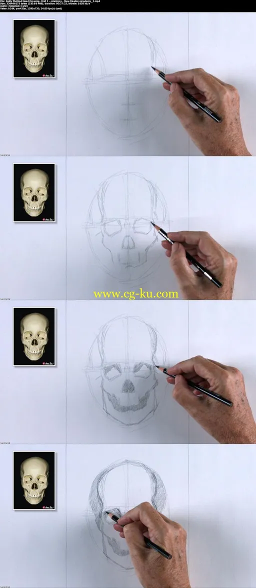 Reilly Method Head Drawing: Unit 1  Anatomy with Mark Westermoe的图片1