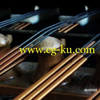 Detunized Cimbalom WAV KONTAKT SFZ SXT EXS FXP的图片1