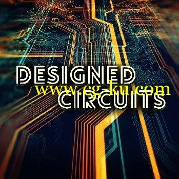 Gregor Quendel Designed Circuits WAV-DISCOVER的图片1