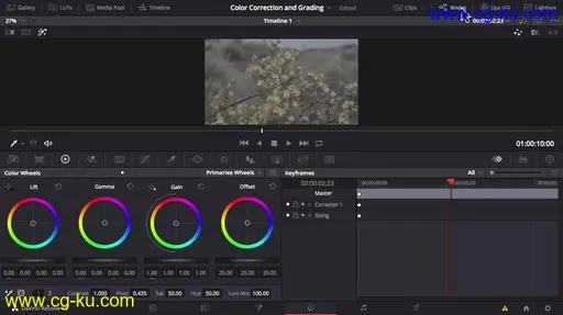 SKillshare – Color Correction and Color Grading of videos with DaVinci Resolve 15的图片1