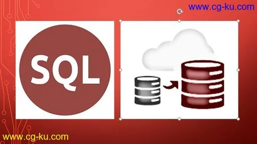 Oracle SQL : Mastering Oracle SQL Performance Tuning的图片1