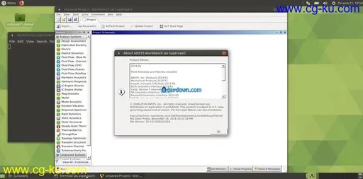 ANSYS Products 2019 R2 Linux-MAGNiTUDE的图片2