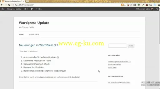 WordPress sicher aktualisieren的图片3