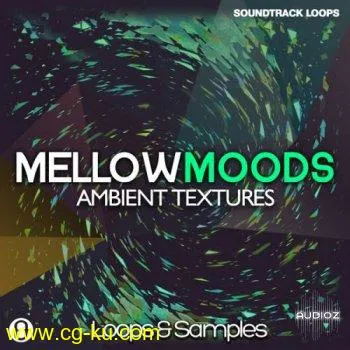 Soundtrack Loops Mellow Moods Ambient Textures WAV的图片1