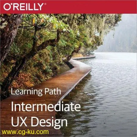 Learning Path: Intermediate UX Design的图片1