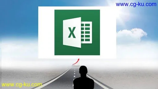 Microsoft Excel Professional的图片1