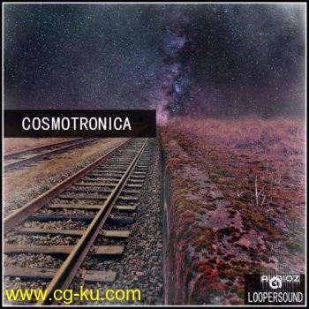 Loopersound Cosmotronica WAV的图片1