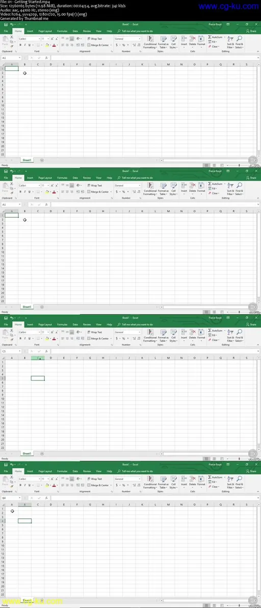 Excel 2019 Essentials的图片1