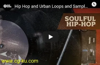 Black Octopus Sound Soulful Hip Hop WAV-DISCOVER的图片1