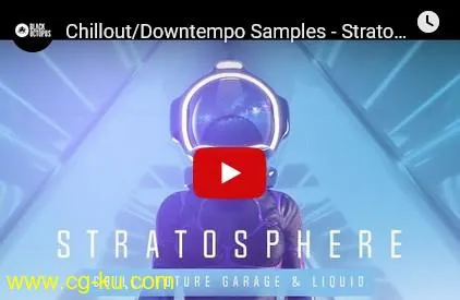 Black Octopus Sound Stratosphere WAV XFER RECORDS SERUM-DISCOVER的图片1