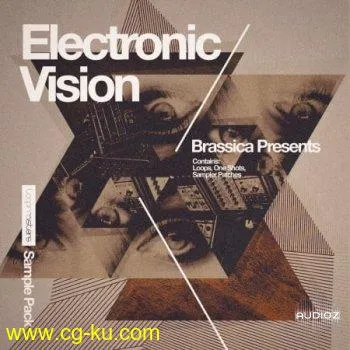 Loopmasters Brassica Electronic Vision WAV REX的图片1