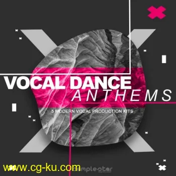 Samplestar Vocal Dance Anthems WAV MiDi-DISCOVER的图片1