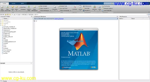 MathWorks MATLAB R2018b v9.5.0.1033004 Linux x64的图片1