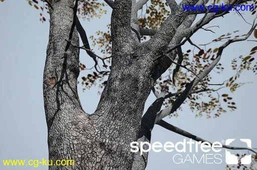 SpeedTree Games Indie 8.4.2 x64的图片1