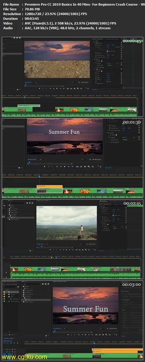 Premiere Pro CC 2019 Basics In 40 Mins: For Beginners Crash Course的图片1