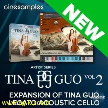 Cinesamples Tina Guo Vol 2 for Kontakt的图片1