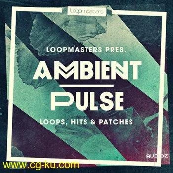 Loopmasters Ambient Pulse WAV REX的图片1