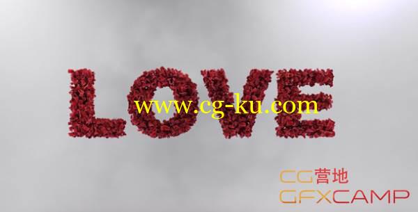 AE模板-玫瑰花瓣散落 VideoHive Love Leaves的图片1