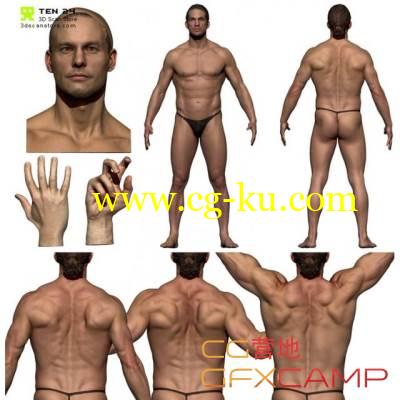 男性人体扫描3D真实模型 Colour Male Anatomy Bundle 01的图片1
