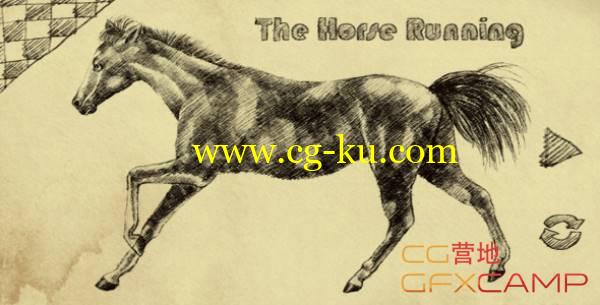 手绘马跑步高清视频素材 VideoHive The Horse Running的图片1