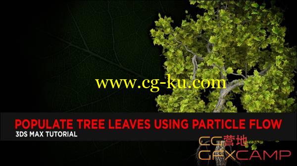 ﻿3DS MAX树木树木制作教程 Populate Tree Leaves using Particle Flow的图片1