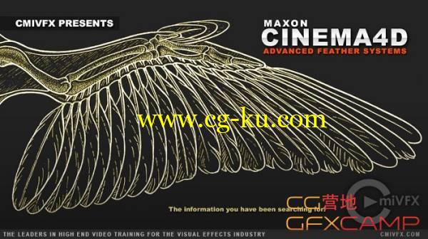 C4D翅膀羽毛建模系统教程 cmiVFX - Cinema 4D Advanced Feather Systems的图片1