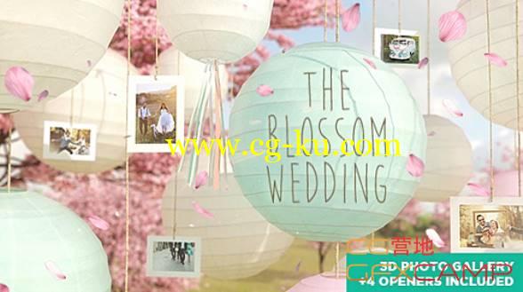 AE模板-灯笼花开婚礼浪漫爱情相册悬挂相片展示片头 The Blossom Wedding - Photo Gallery Slideshow的图片1