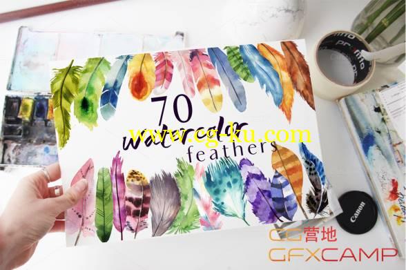 70个水彩羽毛图片素材 CreativeMarket - 70 watercolor feather PNG透明格式的图片1