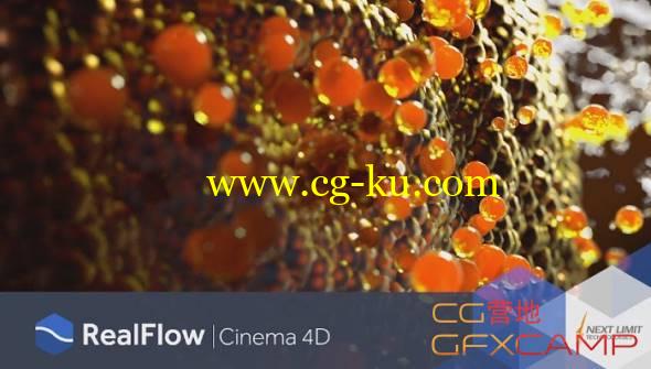 RealFlow C4D R15/R16/R17接口插件 Nextlimit Realflow For Cinema 4D v1.0.0.0080 Win/Mac的图片1
