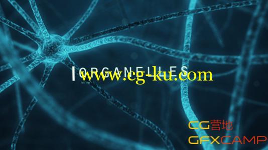 科幻神经细胞 VideoHive Organic Cell的图片1