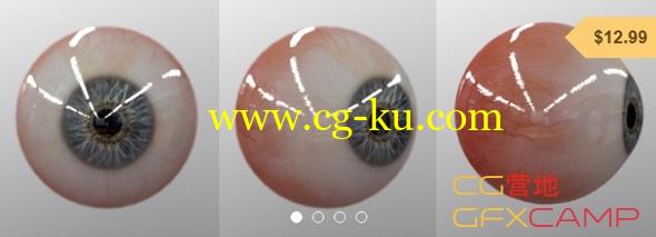 真实眼睛眼球3D模型(OBJ+FBX) Gumroad – Realtime Eye的图片1