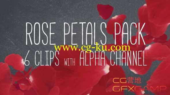 玫瑰花瓣飘落心型视频素材 Rose Petals Pack的图片1