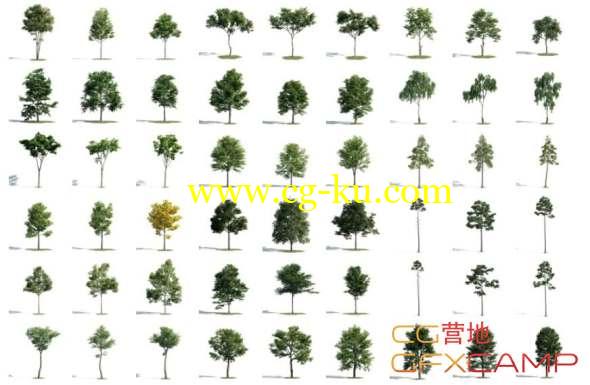 Evermotion - Archmodels Vol.171 植物树木3D模型(C4D/MAX/FBX格式)的图片1