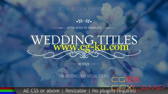 AE模板-10组婚礼文字标题动画 Wedding Titles的图片1