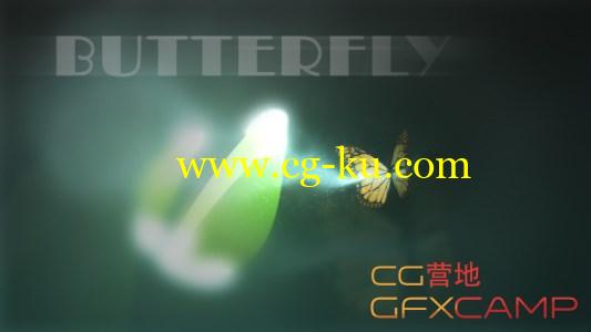 蝴蝶粒子Logo展示 VidoHive Butterfly Logo Reveal的图片1