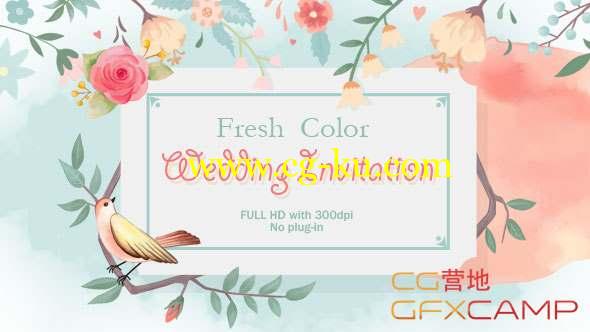 AE模板-小清新水彩枝条婚礼邀请片头 Fresh Color Wedding Invitation的图片1
