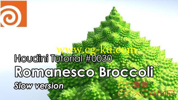 螺旋生长动画Houdini教程 Creating Romanesco Fractal Broccoli的图片1