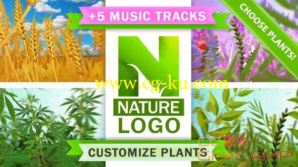 AE模板-自然环境植物Logo动画 Nature Eco Plants Logo的图片1