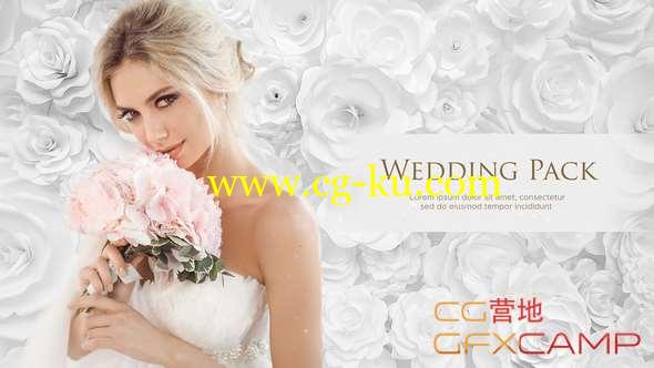 AE模板-白玫瑰婚礼包装片头 Wedding Pack - White Roses的图片1